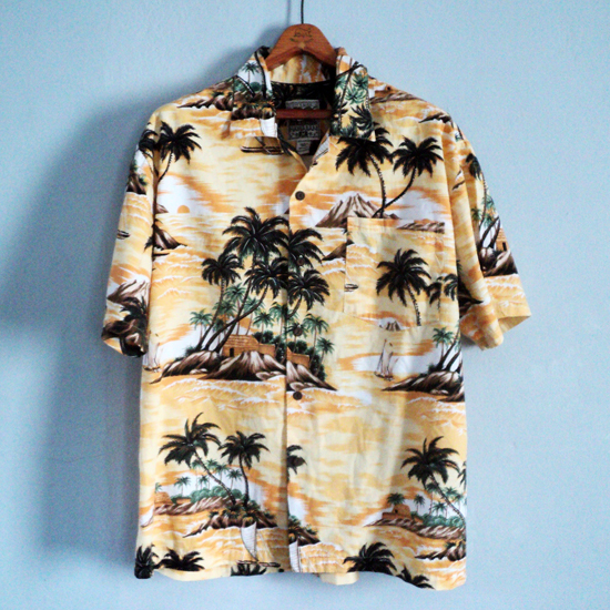 Hawaii, Steve&barry's, shirt, kzyshop
