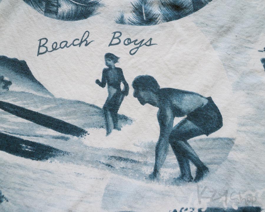The Beach Boys Designs by Sherry Holt
