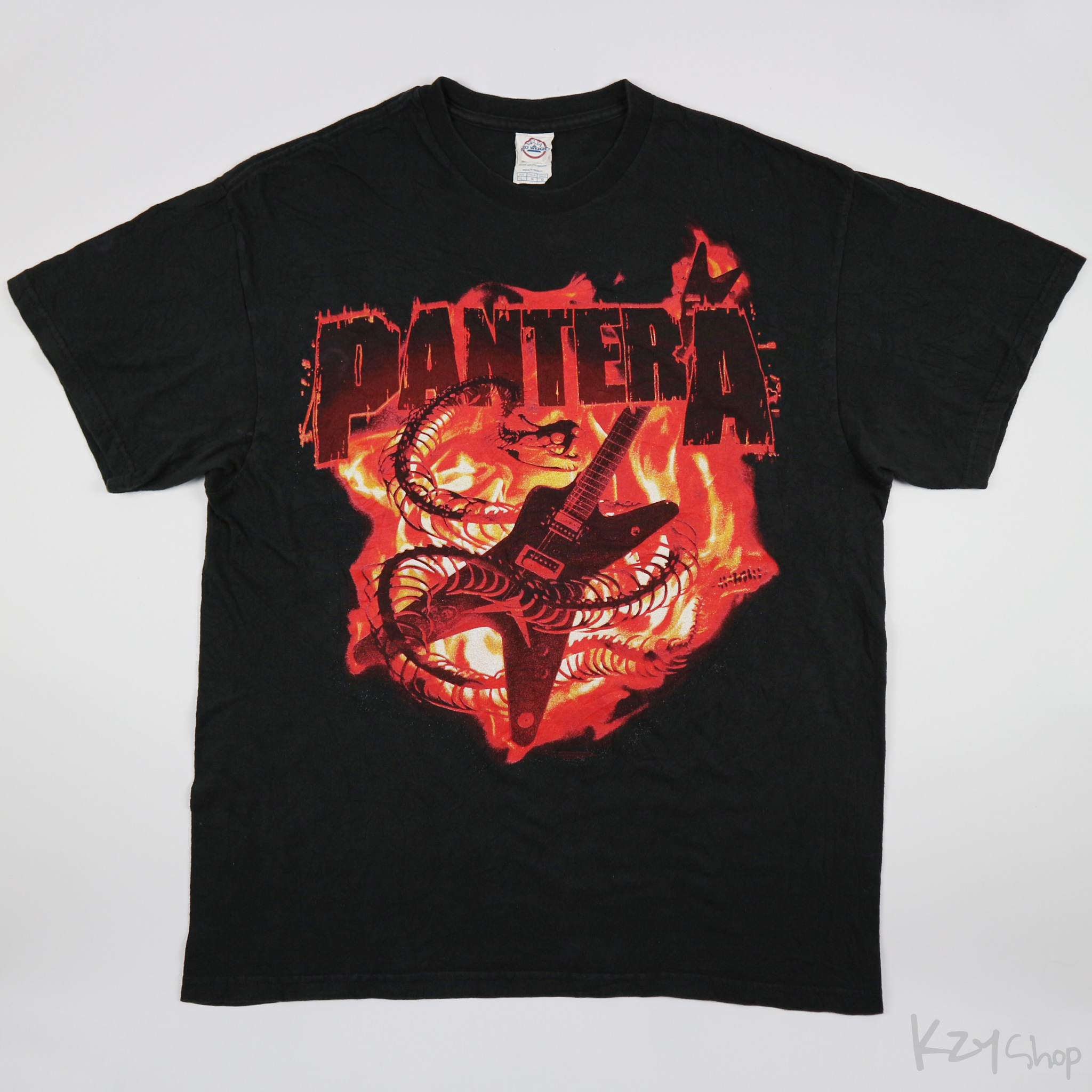 T-shirt-PANTERA-2010-074-L-kzyshop