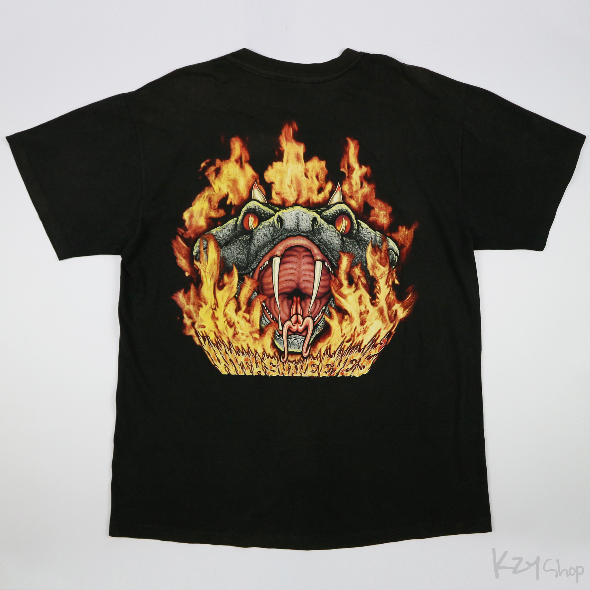 VINTAGE 90s PANTERA - WITH SNAKE EYES