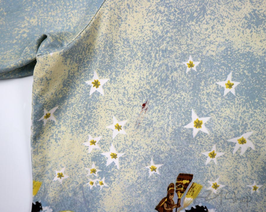 เสื้อฮาวาย Mr.Kailua