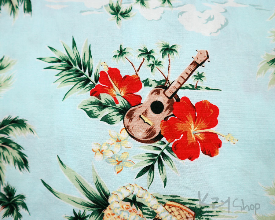 เสื้อฮาวาย unknow 