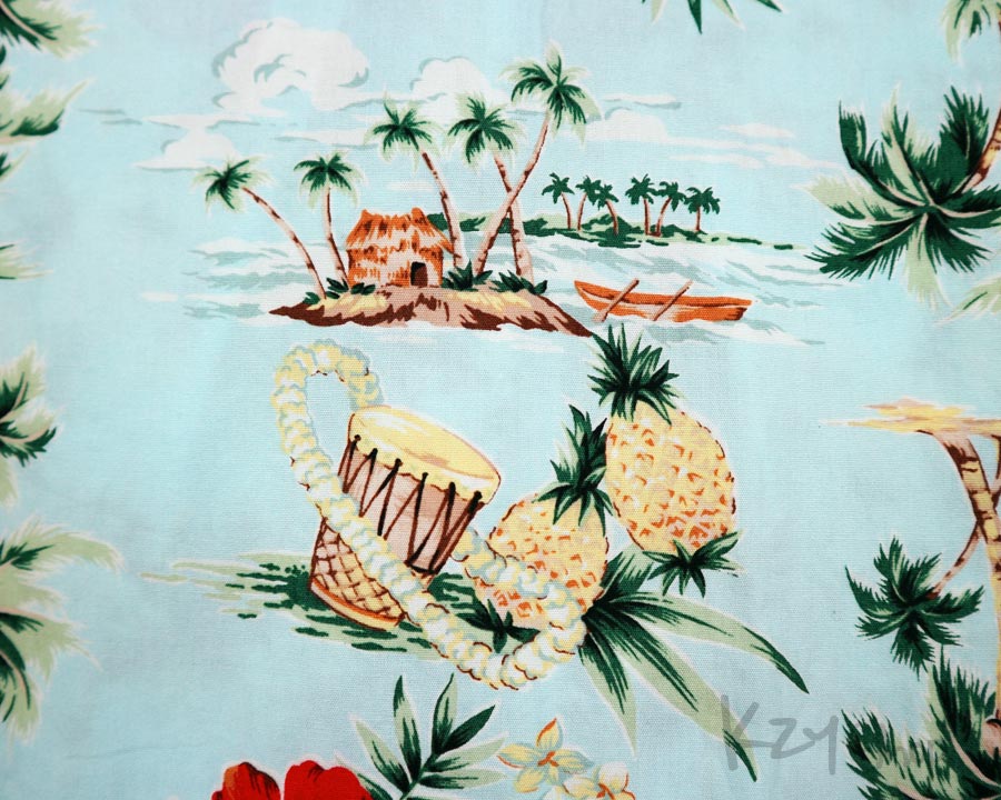 เสื้อฮาวาย unknow 