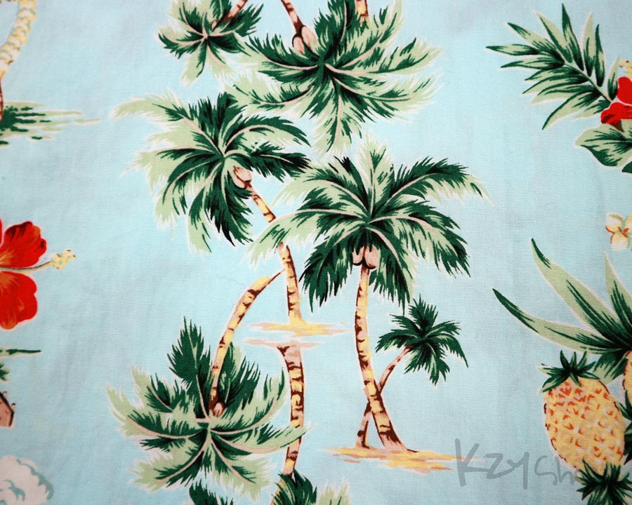 เสื้อฮาวาย unknow 